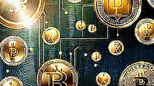 The Anatomy of a CEX Liquidation: Kraken's 21-Token Purge and the Death of Long-Tail Assets