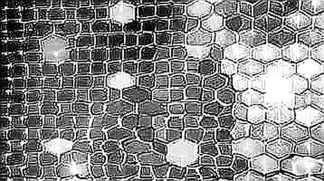 The Grid is the New Gas: Why AI and Crypto's Energy Narrative is Built on Sand The Grid is the New Gas: Why AI and Crypto's Energy Narrative is Built on Sand