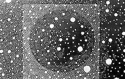 Google's WikiSkill: The Liquidity Play Hiding in Plain Sight