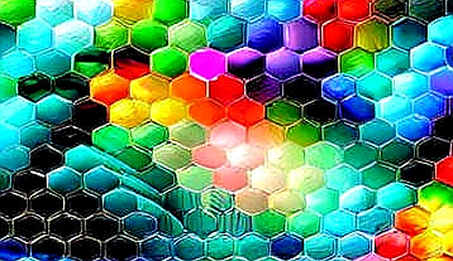 The Liquidity Trap Tightens: Fed Minutes Reveal Rate-Hike Discussions and the Crypto Market's Unpriced Risk