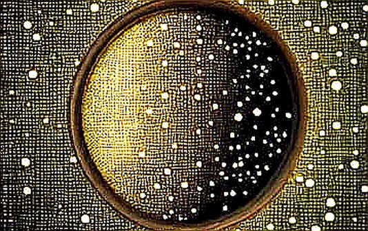 The 8% Signal: Wikimedia's Traffic Collapse Is the First Audited Liability of the AI Data Economy The 8% Signal: Wikimedia's Traffic Collapse Is the First Audited Liability of the AI Data Economy