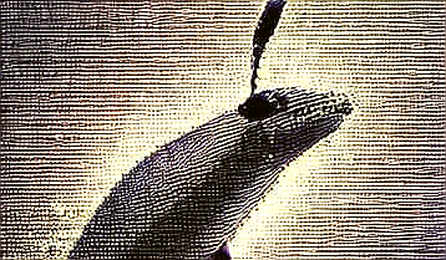 The $1.4B Mirage: Why MicroStrategy's Unrealized Profit Is a Short Signal, Not a Victory Lap