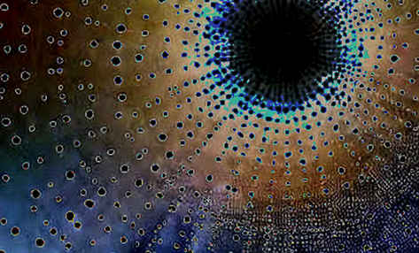 Japan's $100 Billion AI Bet: A Crypto Lens on the Noetra Experiment Japan's $100 Billion AI Bet: A Crypto Lens on the Noetra Experiment