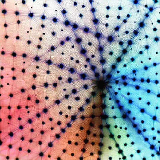 Two Labs, One Mirror: What OpenAI and Anthropic's Quiet Stress-Test Talks Really Test Two Labs, One Mirror: What OpenAI and Anthropic's Quiet Stress-Test Talks Really Test