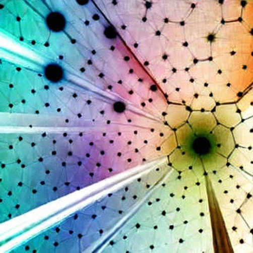 Boltz Bridge Goes Dark: AI-Powered Attacks Just Broke Non-Custodial Swap Infrastructure (And Nobody Is Asking the Right Question) Boltz Bridge Goes Dark: AI-Powered Attacks Just Broke Non-Custodial Swap Infrastructure (And Nobody Is Asking the Right Question)