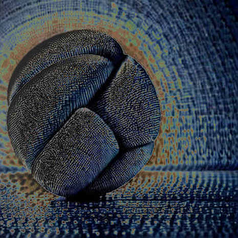 The NEAR 50% Anomaly: A Forensic Decomposition of a Narrative Vacuum The NEAR 50% Anomaly: A Forensic Decomposition of a Narrative Vacuum