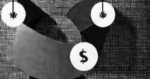 The 99% Ledger: What Zora's Fee Collapse Says About Protocol Survival in a Liquidity-Starved Cycle