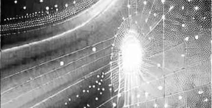 The N/A Report: A 47-Field Audit of Nothing, and Why the Void Is the Data