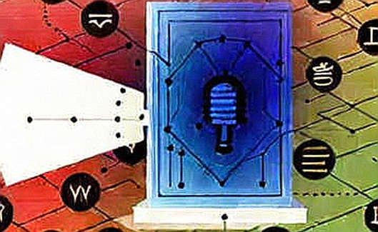 Nine Blank Fields: The Quiet Collapse of Crypto's Analytical Layer Nine Blank Fields: The Quiet Collapse of Crypto's Analytical Layer