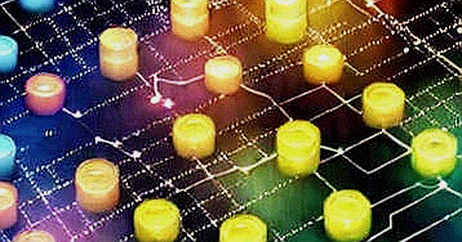 The Silicon Tether: What TSMC's $64B Bet Tells Us About the Next Crypto Cycle The Silicon Tether: What TSMC's $64B Bet Tells Us About the Next Crypto Cycle