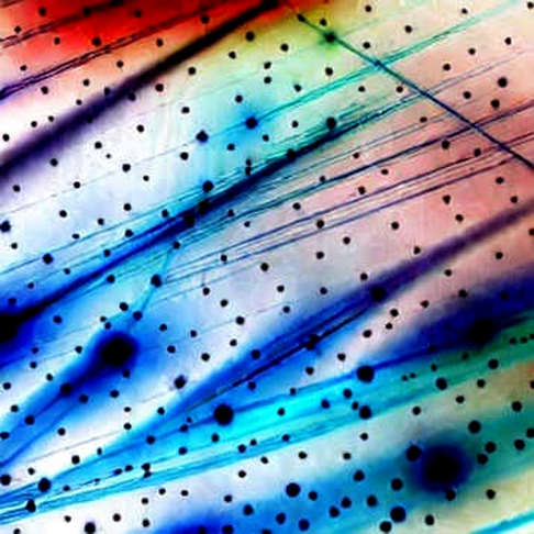 The £35M Illusion: Why Premier League Economics Expose Crypto’s Tokenization Fantasy